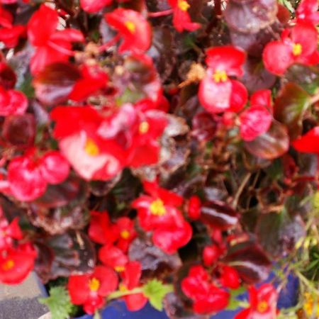 Terpsichori Guesthouse Kepésovon エクステリア 写真
