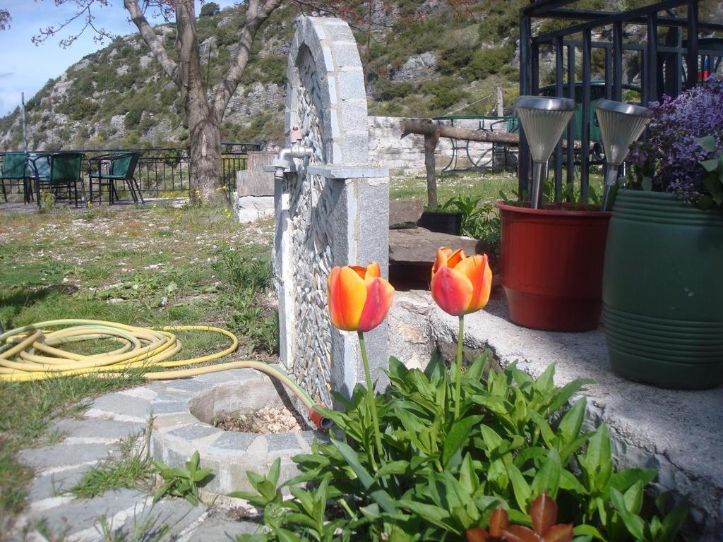 Terpsichori Guesthouse Kepésovon エクステリア 写真